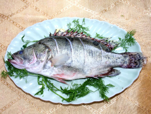 ca-que-hoa-hap